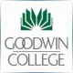 Goodwin University - Graduate School Ranking